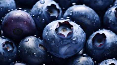 {Blueberries} background with shiny water drops --ar 16:9